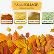 Fall Foliage Special Collection 4-Pack